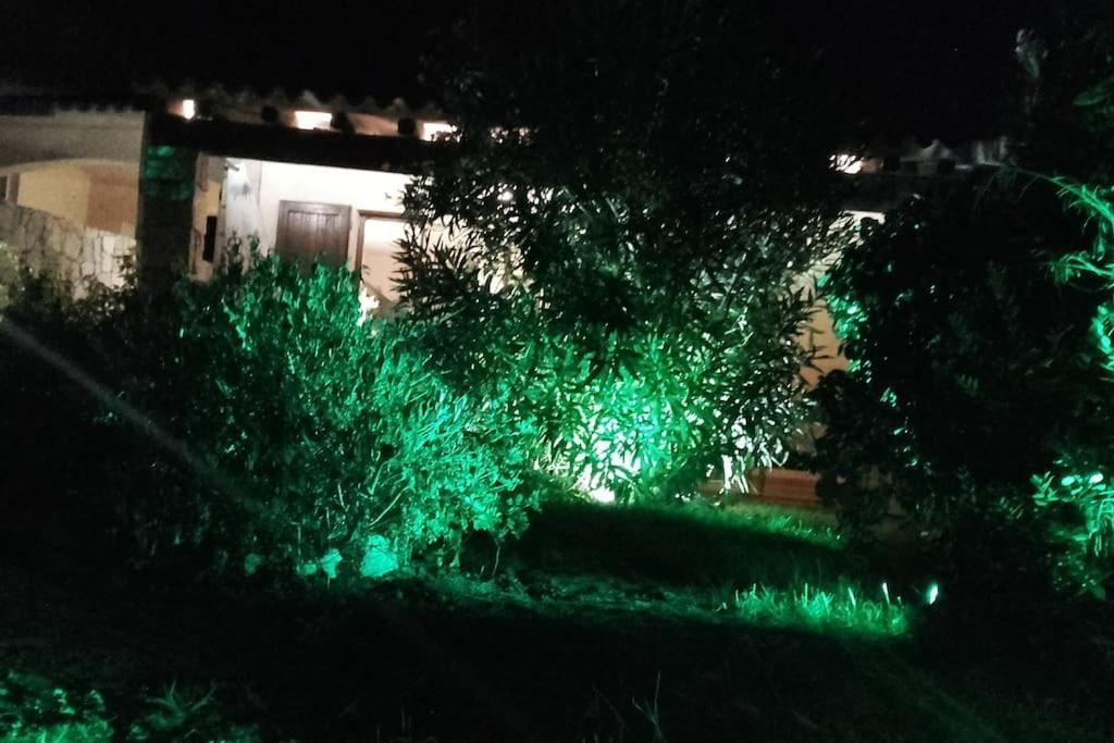 סנטה טרזה גאיורה Villetta Reparata מראה חיצוני תמונה