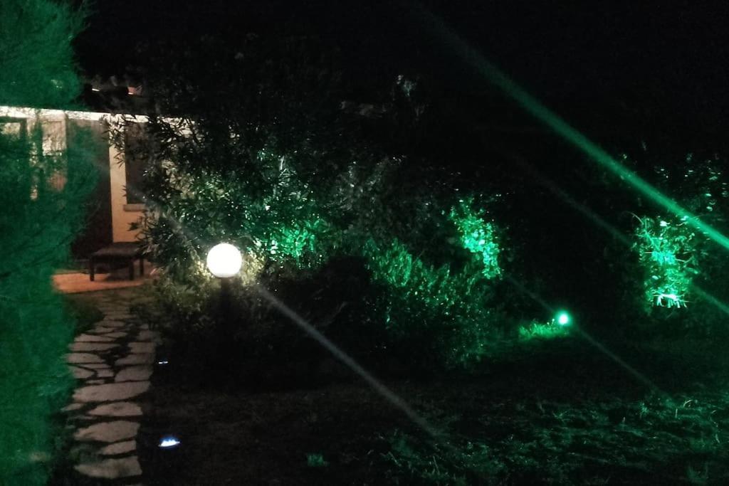 סנטה טרזה גאיורה Villetta Reparata מראה חיצוני תמונה